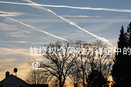 转授权合同效力待定中的不安抗辩权如何行使