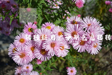 转转新用户分期免息(转转新用户分期免息)