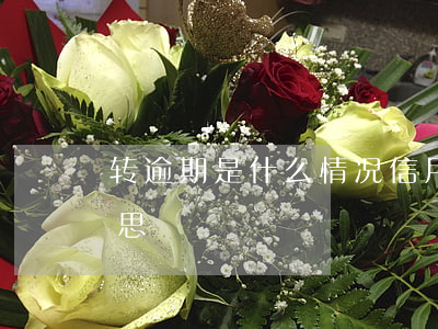 转逾期是什么情况（信用卡逾期转当地什么意思）