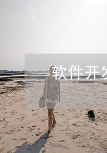 软件开发合同