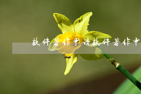 软件著作申请(软件著作申请多久)