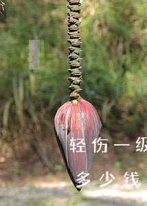 轻伤一级私了30万正常吗(轻伤一级私了要多少钱)