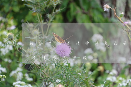 轻伤二级不请律师自己可以诉讼吗(轻伤二级请律师多少钱)