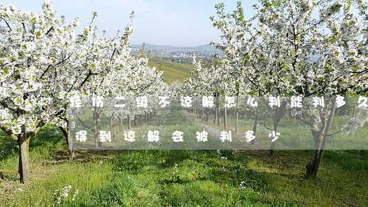 轻伤二级不谅解怎么判能判多久(轻伤二级没得到谅解会被判多少)