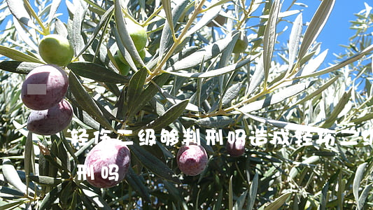 轻伤二级够判刑吗(造成轻伤二级就一定要判刑吗?)