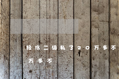轻伤二级私了20万多不(重伤二级私了20万多不)