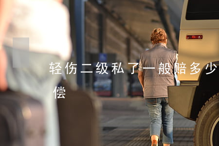 轻伤二级私了一般赔多少钱(轻伤二级怎么赔偿)