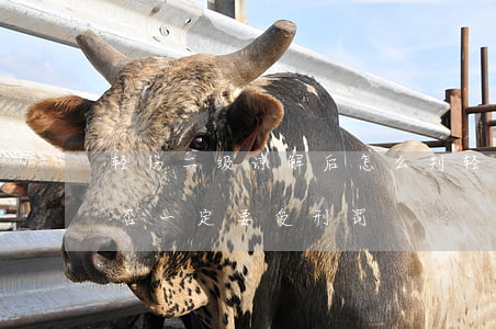 轻伤二级谅解后怎么判(轻伤二级达成谅解是否一定要受刑罚)
