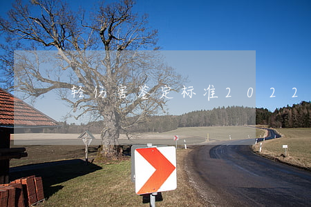 轻伤害鉴定标准(2022年轻伤害鉴定标准)
