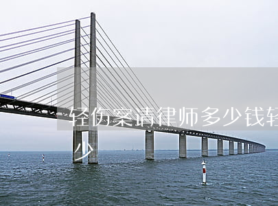 轻伤案请律师多少钱(轻微伤打官司律师费多少)