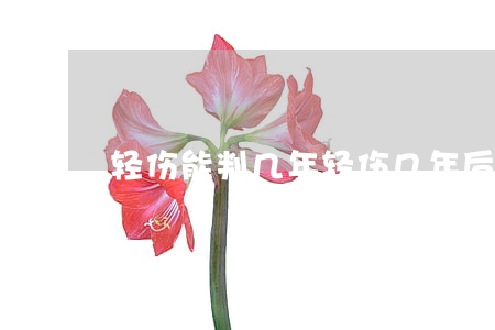 轻伤能判几年(轻伤几年后可追究刑)