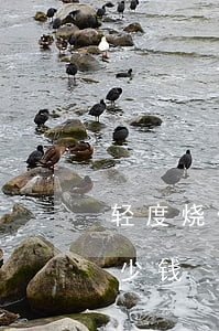 轻度烧伤能赔多少钱(烫伤轻微伤一般赔偿多少钱)