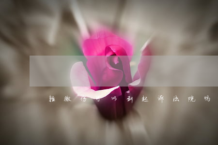 轻微伤可以到起诉法院吗