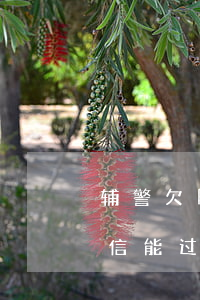辅警欠网贷信用卡会被辞退吗(有欠款辅警征信能过吗)