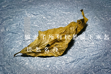 输光了所有积蓄接下来怎么办（输光后无力偿还怎么办）