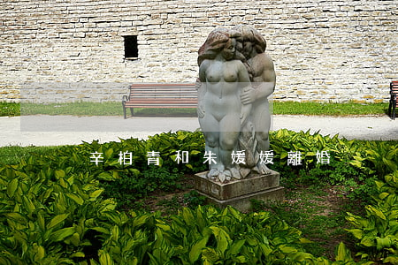 辛柏青和朱媛媛離婚