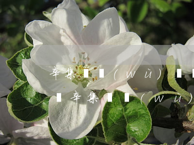 辛集債務(wù)債權(quán)律師報價(辛集債務(wù)債權(quán)律師報價)