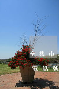 辛集市工程欠款糾紛律師怎么委托(辛集法院電話號(hào)碼)