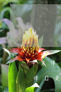 辛集律師事務(wù)所哪里好(辛集最有名律師是誰)