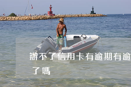 辦不了信用卡有逾期(有逾期就不能辦信用卡了嗎)