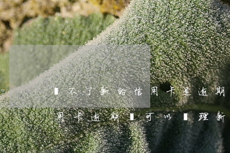 辦不了新的信用卡是逾期了嗎 如果有一張信用卡逾期,還可以辦理新卡嗎?