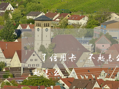 辦了信用卡還不起怎么辦(信用卡實在是還不起怎么辦)