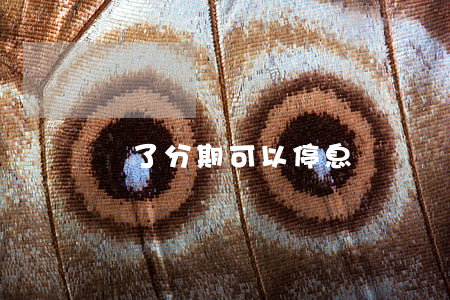 辦了分期可以停息掛賬嗎(辦了分期可以停息掛賬嗎)