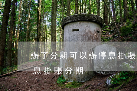 辦了分期可以辦停息掛賬(怎么跟銀行申請停息掛賬分期)