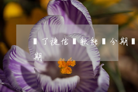 辦了捷信貸款能辦分期嗎(捷信貸款可以分幾期)