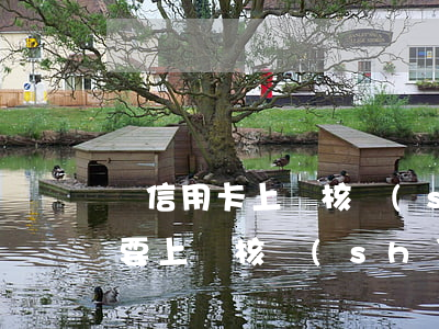辦信用卡上門核實(shí)（信用卡逾期說要上門核實(shí)要立案）