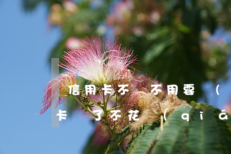 辦信用卡不還不用要錢(qián)嗎(信用卡辦了不花錢(qián)的話(huà)會(huì)怎么樣)