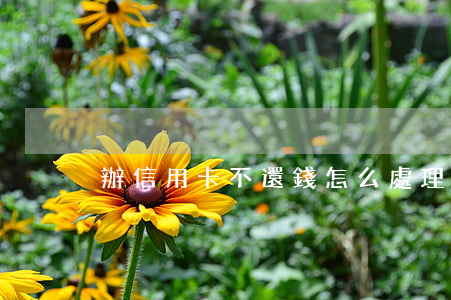 辦信用卡不還錢怎么處理