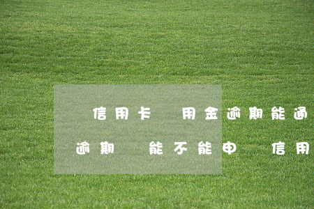 辦信用卡備用金逾期能通過嗎(支付寶備用金逾期還能不能申請信用卡)