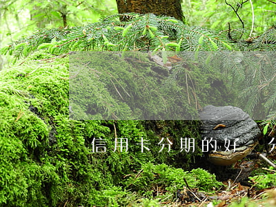 辦信用卡分期的好處(分信用卡分期劃算嗎)