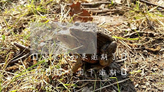 辦信用卡如果逾期了對(duì)銀行卡有影響嗎（信用卡逾期會(huì)影響大公司工作嗎）