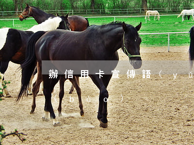 辦信用卡宣傳語(yǔ)(辦信用卡宣傳海報(bào))