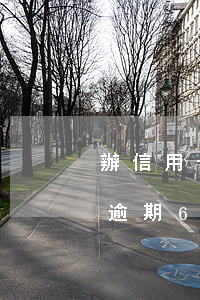 辦信用卡支付寶有逾期6(辦信用卡支付寶有逾期6)