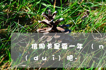 辦信用卡是要一年內(nèi)不要逾期對(duì)吧-