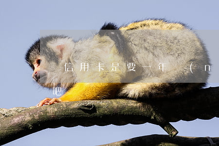 辦信用卡是要一年內(nèi)不要逾期對吧