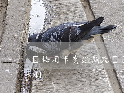 辦信用卡有逾期能辦嗎（逾期過辦得了信用卡嗎）