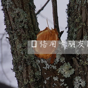 辦信用卡朋友圈廣告語(辦信用卡朋友圈文案)