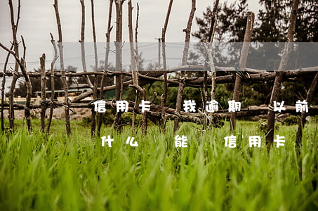 辦信用卡說我逾期過(以前用信用卡逾期過了為什么還能辦信用卡)