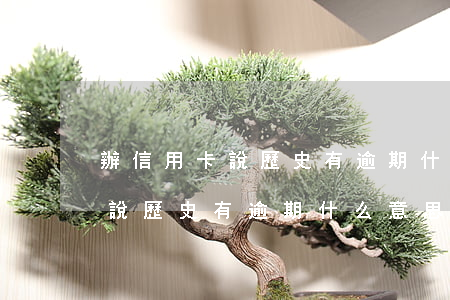 辦信用卡說歷史有逾期什么意思-辦信用卡說歷史有逾期什么意思啊