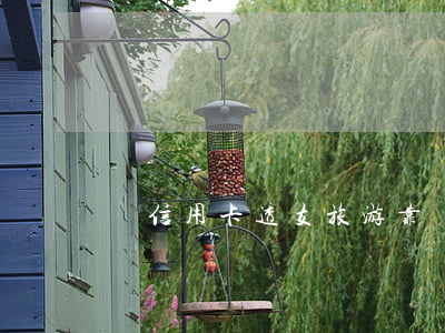 辦信用卡透支旅游靠譜嗎