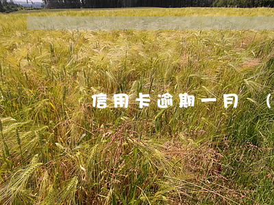 辦信用卡逾期一月費(fèi)用多少錢