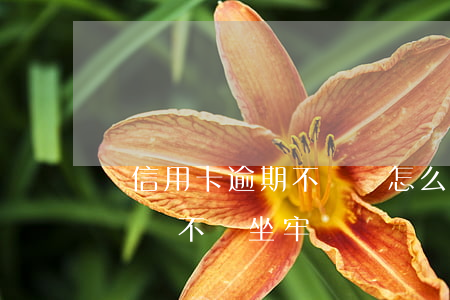 辦信用卡逾期不還會怎么樣處理(辦信用卡不還會不會坐牢)