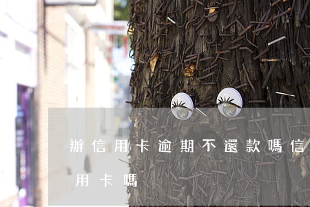 辦信用卡逾期不還款嗎(信用卡逾期還能辦信用卡嗎)