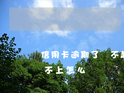 辦信用卡逾期了還不起怎么辦(欠信用卡逾期還不上怎么辦)