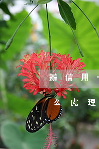 辦信用卡逾期后怎么處理(信用卡逾期銀行怎么處理)