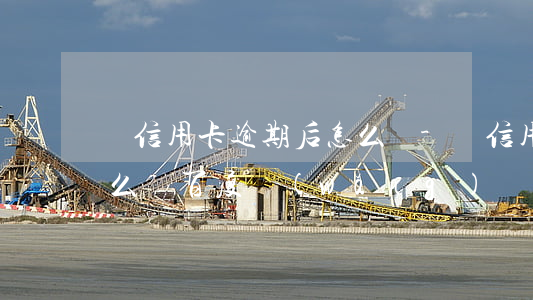 辦信用卡逾期后怎么辦-辦信用卡逾期后怎么辦 百度網(wǎng)盤